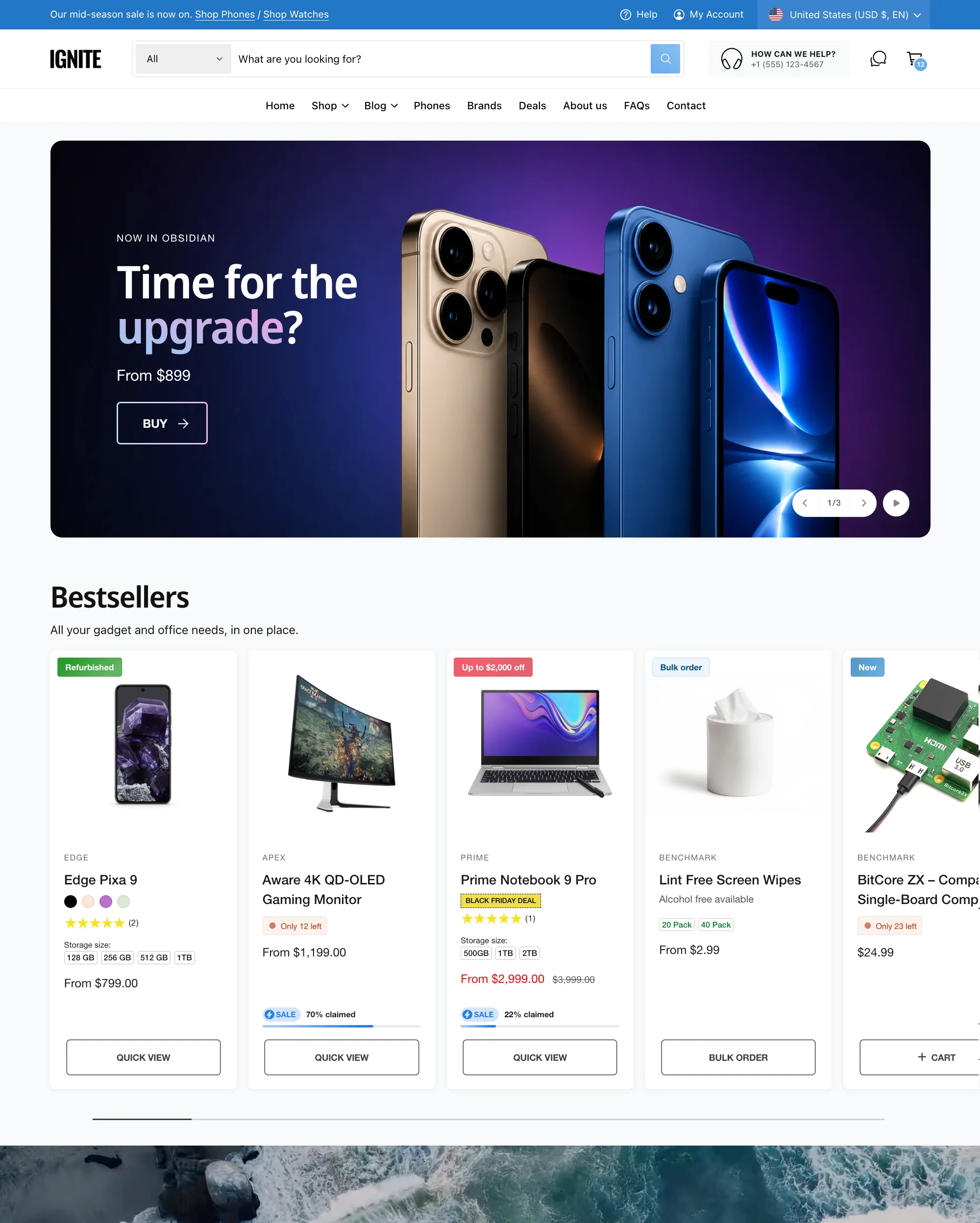 Ignite theme homepage demo