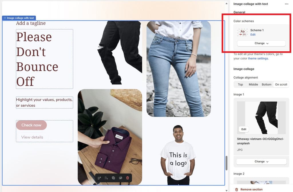 Shopify Theme Editor - Color Scheme Customization Option