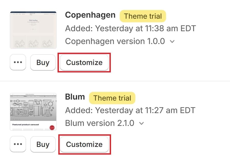 Customize Theme Button