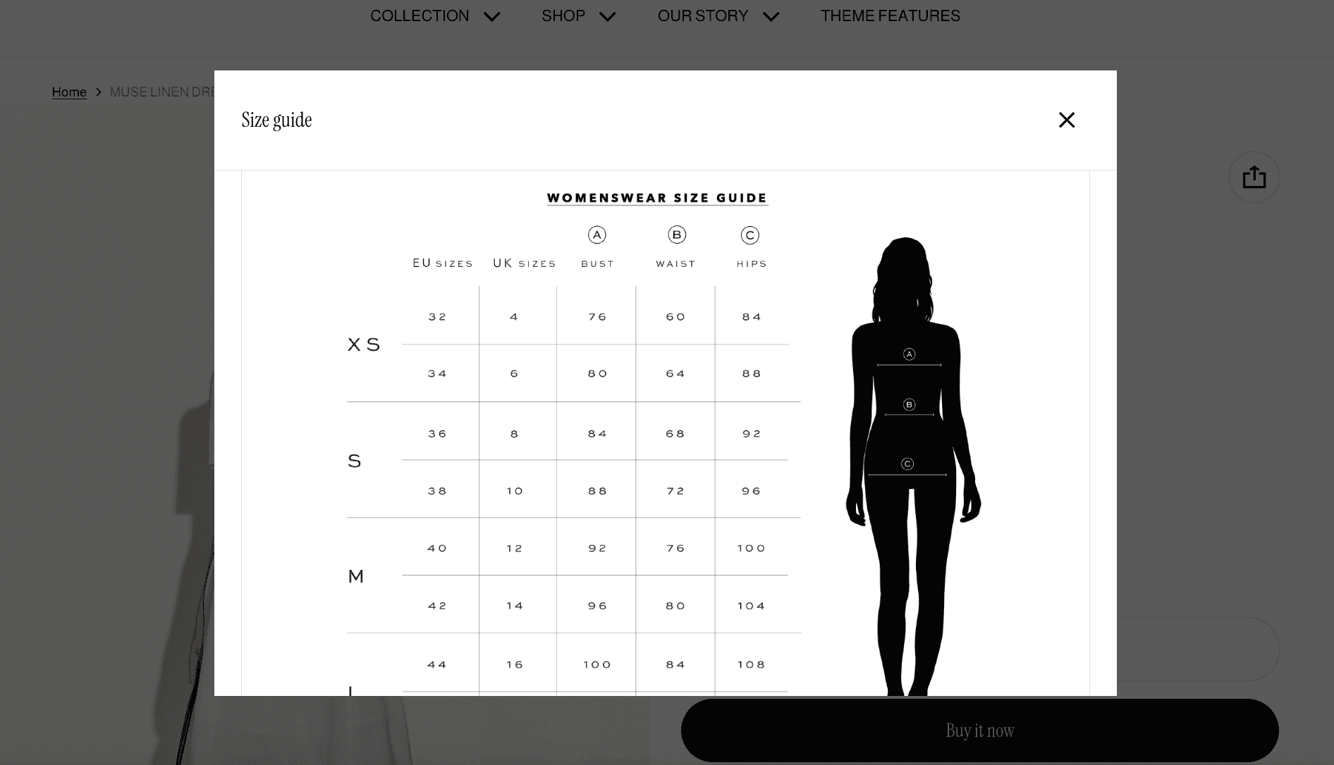 shopify size chart example