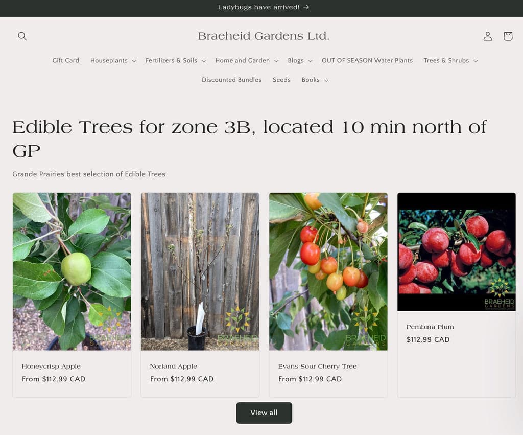 shopify craft store example