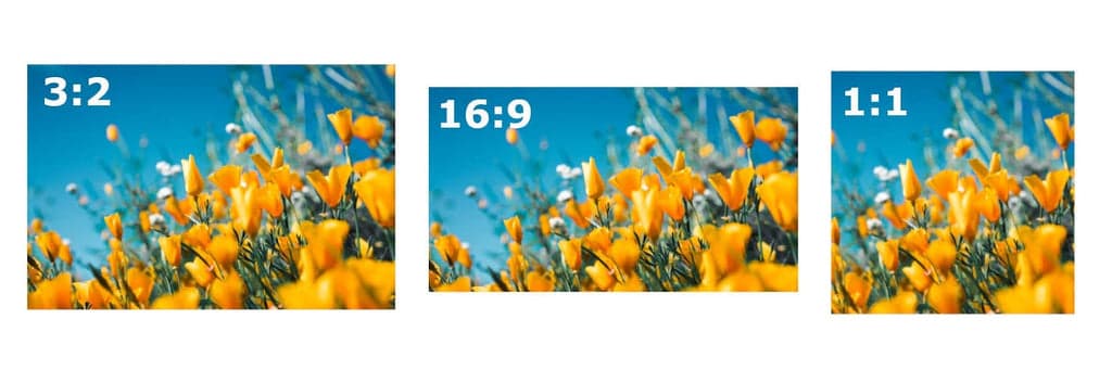 Different Aspect Ratios