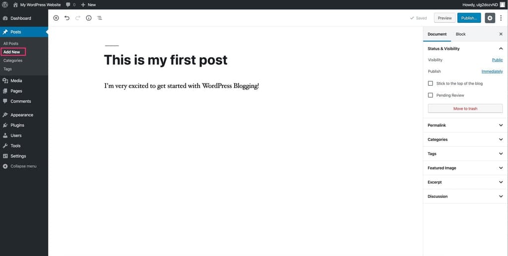 WordPress blogging interface