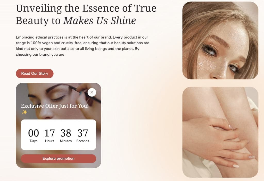Shine Theme - Countdown Timer Section