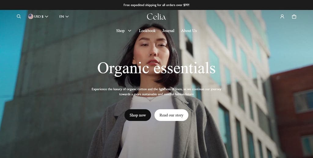 Blum Theme Homepage First Fold