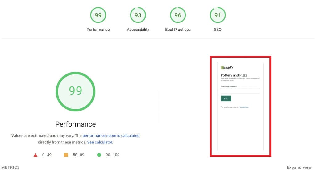 Google Pagespeed Insights analyzing password page