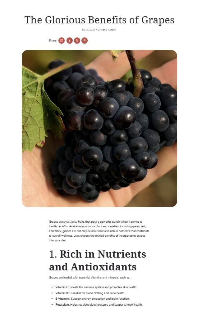 Shine Theme - Blog Post Sample