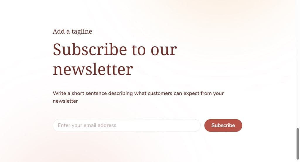 Shine Theme - Newsletter Sign-Up Section