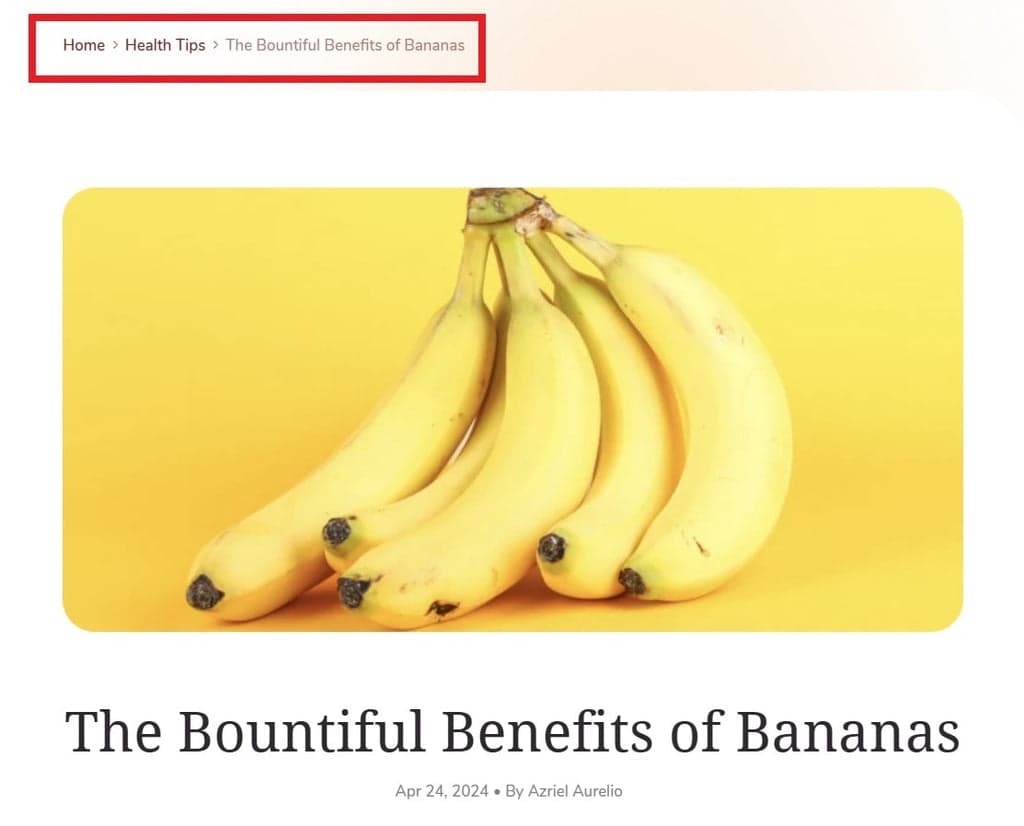 Shine Theme - Breadcrumbs on Blog Post Template