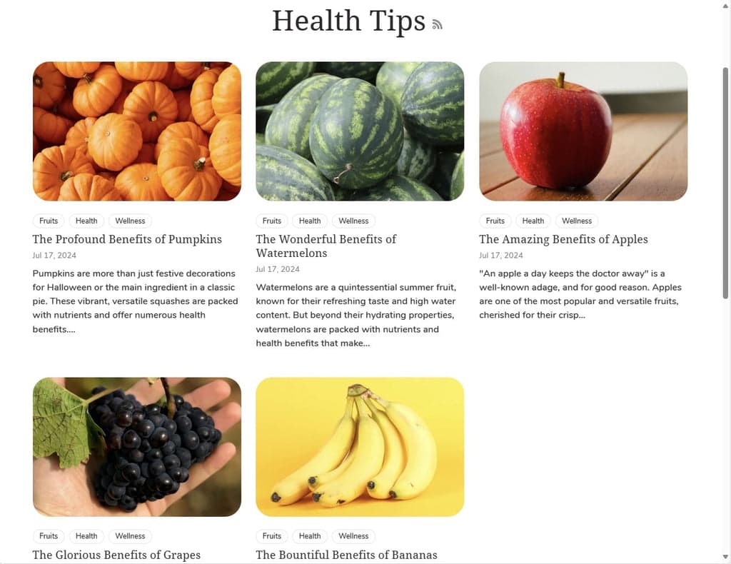 Shine Theme - Blog Page Sample