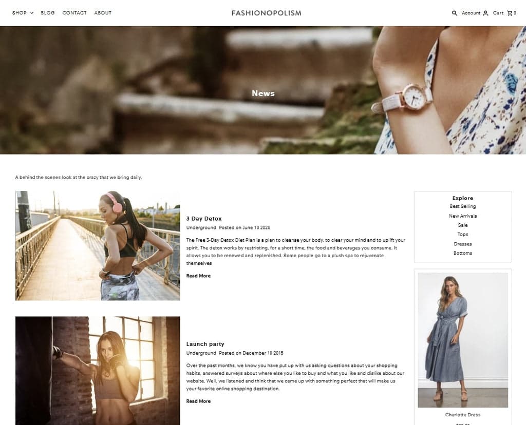 Fashionopolism Theme - Blog Page Sample