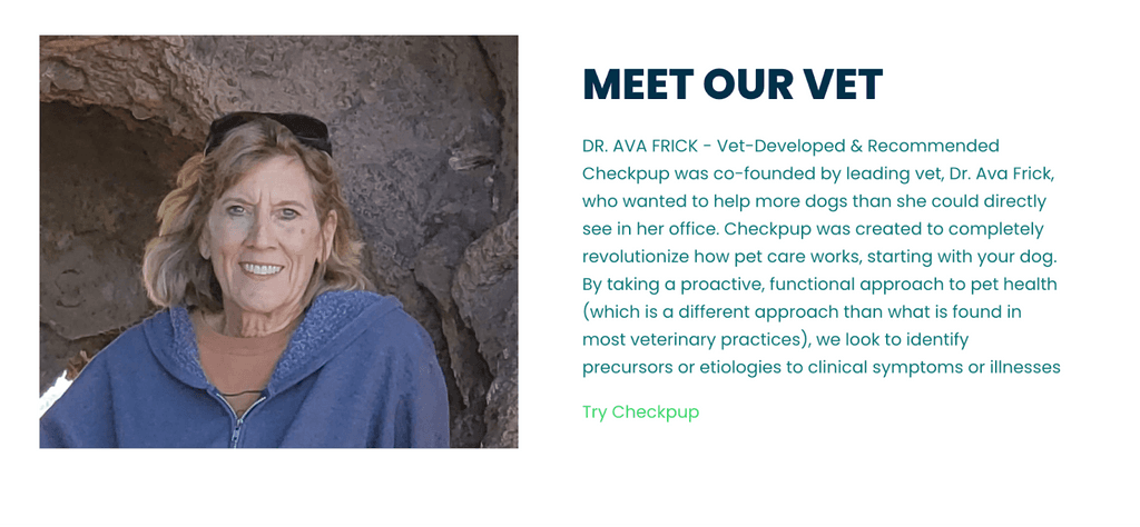 Startup theme storytelling feature